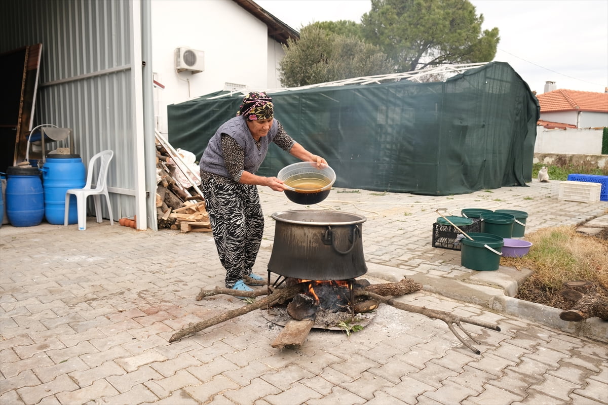 Balıkesir'in Ayvalık ilçesinde kadınların geleneksel yöntemlerle ürettiği kozalak şurubu, 4 günlük...