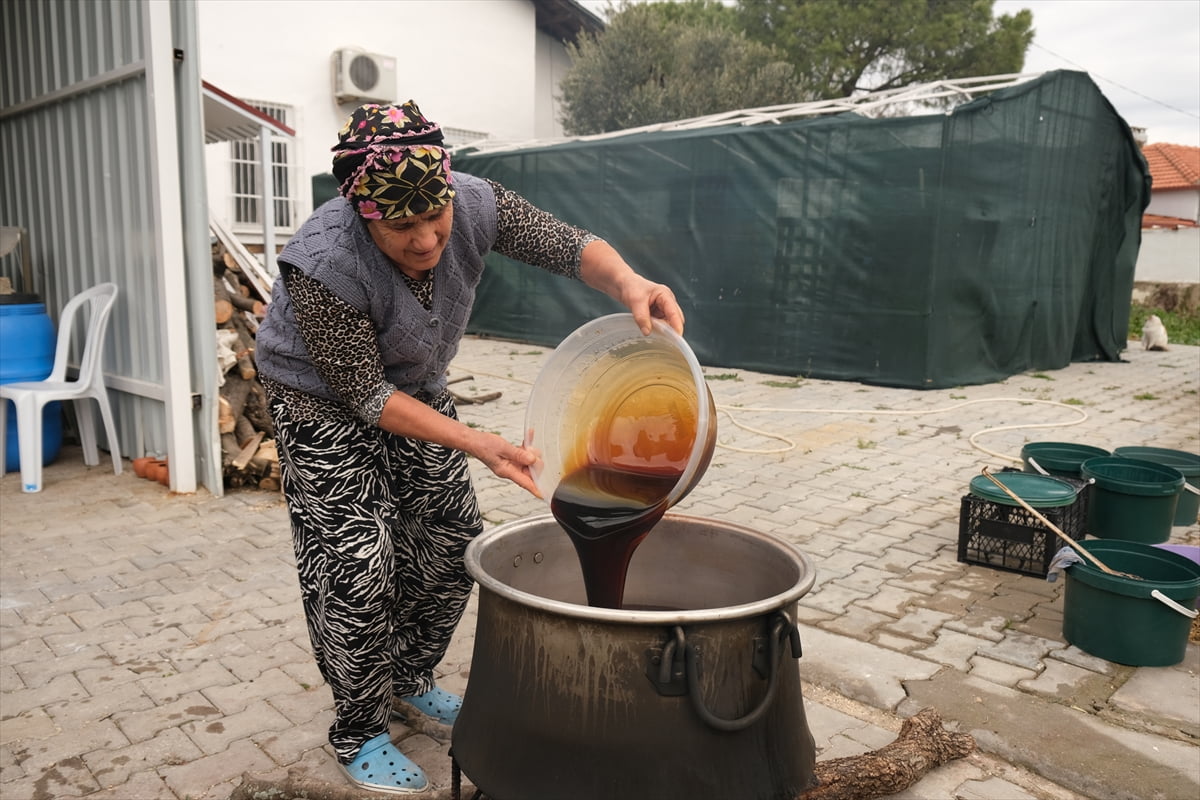 Balıkesir'in Ayvalık ilçesinde kadınların geleneksel yöntemlerle ürettiği kozalak şurubu, 4 günlük...