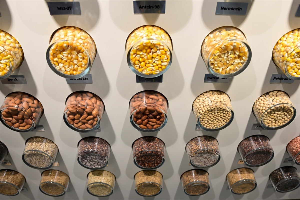 Antalya'da 93 yıldır yeni ürünler ve ıslah çalışmaları yürüten Batı Akdeniz Tarımsal Araştırma...