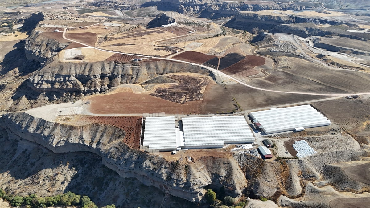 Adıyaman'ın Kahta ilçesinde 24 hektarlık kıraç araziyi süs bitkisi üretim alanına dönüştüren...