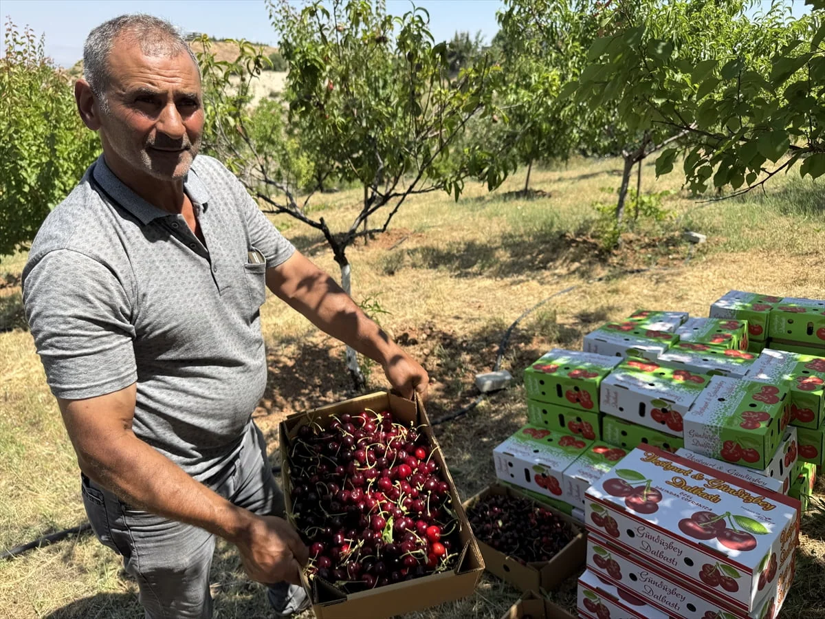 Malatya'nın Yeşilyurt ilçesinde üretilen ve kendine özgü aromasıyla bilinen coğrafi işaret...