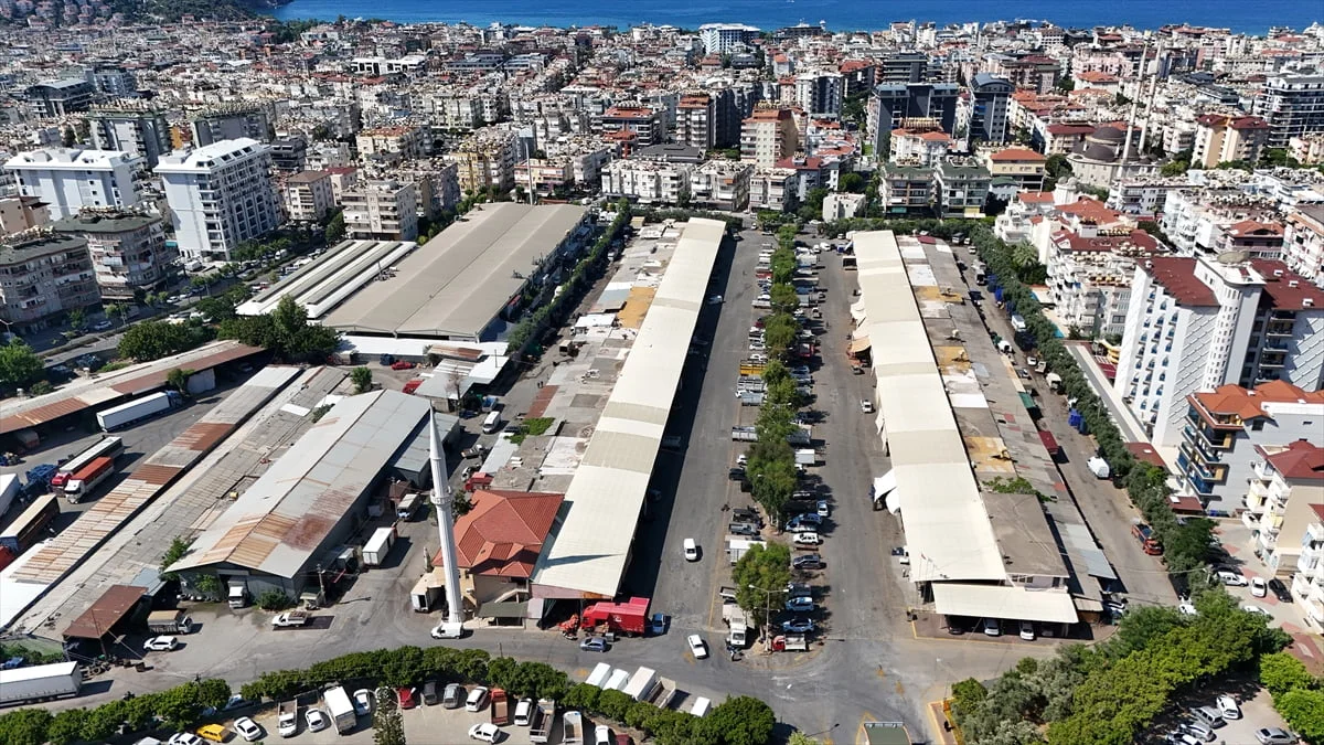 Antalya'nın Alanya ilçesinde üretilen muz, avokado, mango ve ejder meyvesi gibi onlarca çeşit...