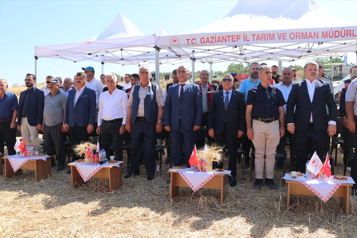 Gaziantep'in Oğuzeli ilçesinde, Tarım ve Orman Bakanlığına bağlı GAP Tarımsal Araştırma Enstitüsü...